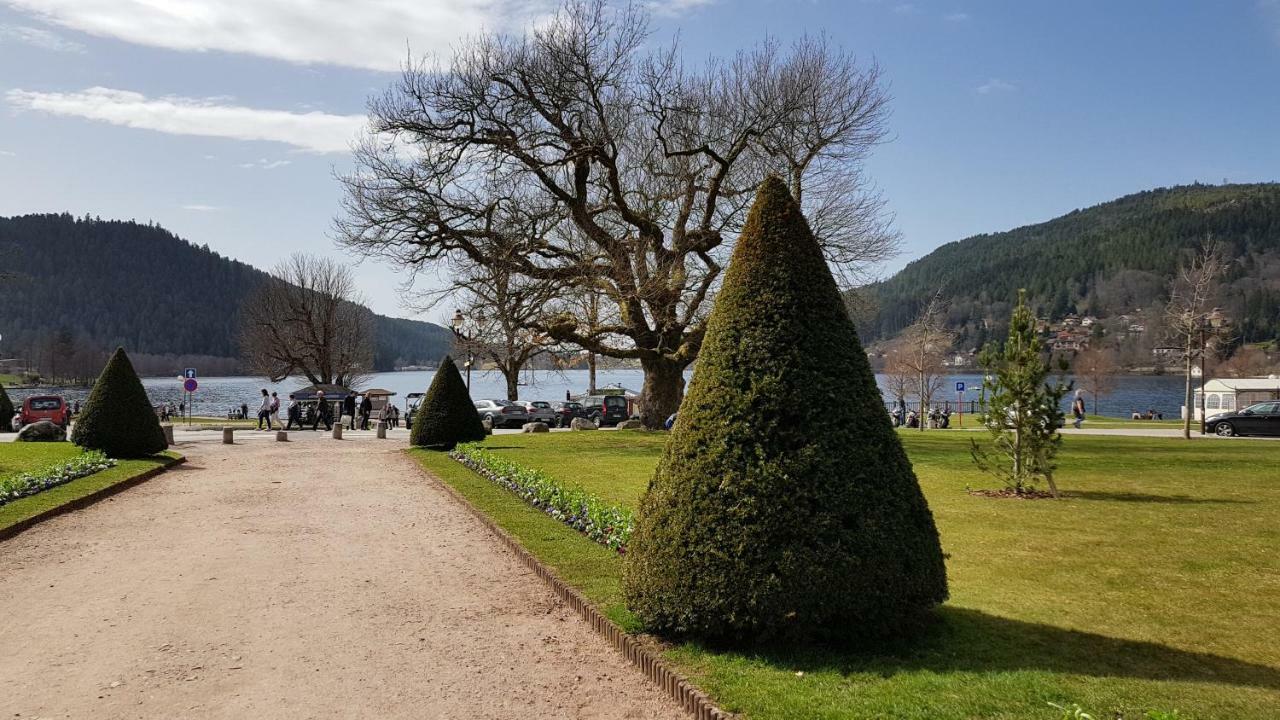 F2 Sur Les Hauteurs De Apartment Gerardmer